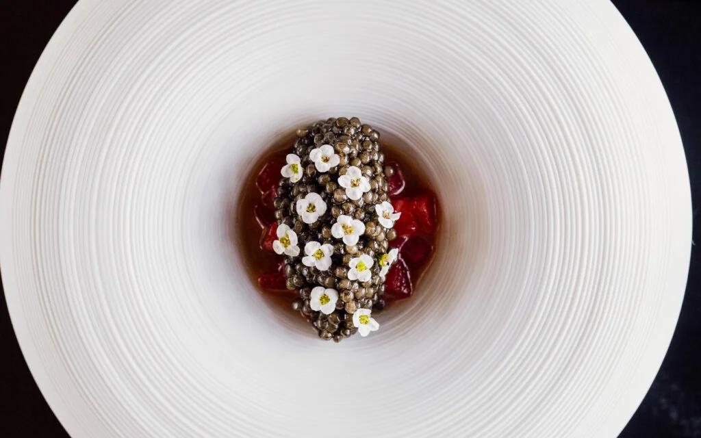 Chef's Table Rotterdam